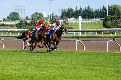 Mental health impact of sports betting