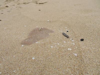 The war against nurdles is on!