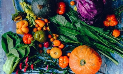 Easy vegetables to grow in your garden