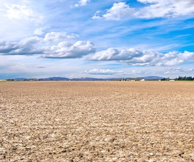 Farmers in dire need of rain to save crops damaged by extreme heat