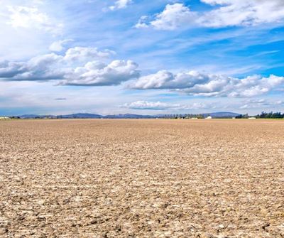 Farmers in dire need of rain to save crops damaged by extreme heat