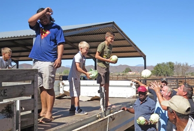 Harte gaan oop vir boere