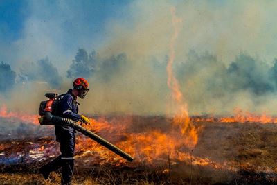 Update on Garden Route Wildfires: Bitou Municipal Area