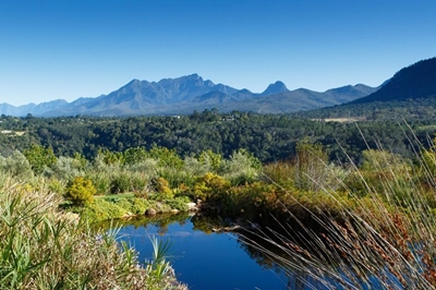 Hoekwil open gardens