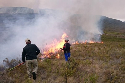Brand vernietig 58 000 hektaar fynbos