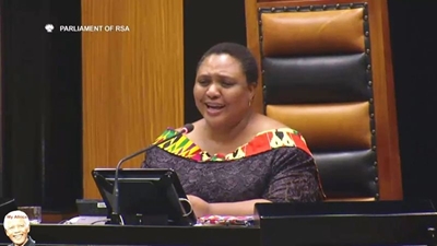 Didiza attends food security conference