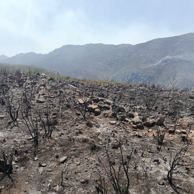 Garden Route wildfire update: Kammanassie Mountains 