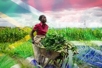 Government's land redistribution programme gearing up