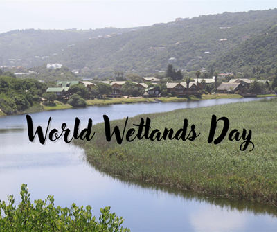 World Wetlands Day: Highlighting the vital role of wetlands in climate resilience and water security