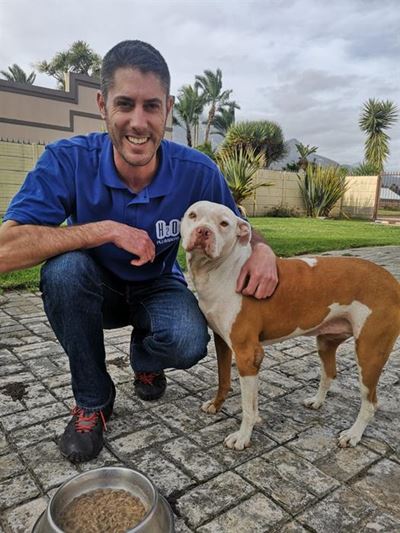 Some justice for abused dogs