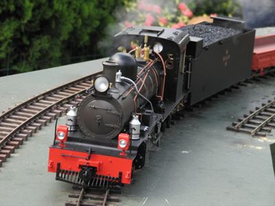 Larger scale model trains on display
