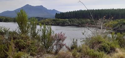 Garden Route Dam level update