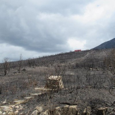No hiking or feeding of wildlife after fires