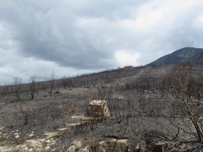 No hiking or feeding of wildlife after fires