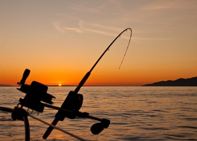 7 caught for illegally fishing during lockdown