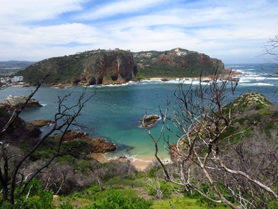 Featherbed Eco-Tours rocks on