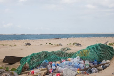 Beach clean-ups tomorrow