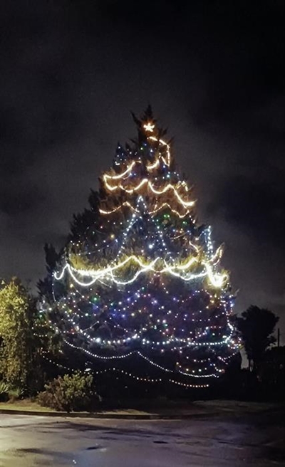 5 000 Kersliggies laat Heatherpark se reus glinster