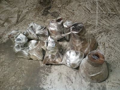Rhino horn busts in Kempton Park this year sits at R85-million