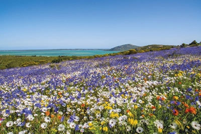 The lesser-known SANParks' worth visiting this year