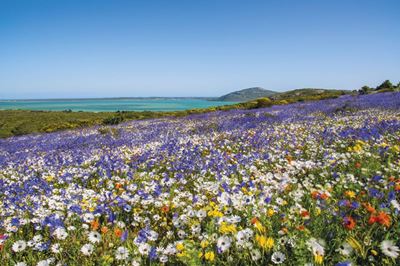 The lesser-known SANParks' worth visiting this year