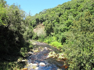 Do you know how Wilderness Heights and Hoekwil became settled?