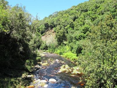 Do you know how Wilderness Heights and Hoekwil became settled?