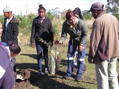 Kurland now 40 trees greener