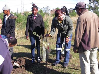 Kurland now 40 trees greener