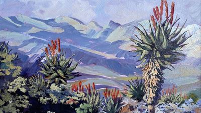 Du Plessis, Spies to exhibit at fest