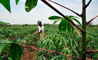 Extended COVID-19 relief for small-scale farmers