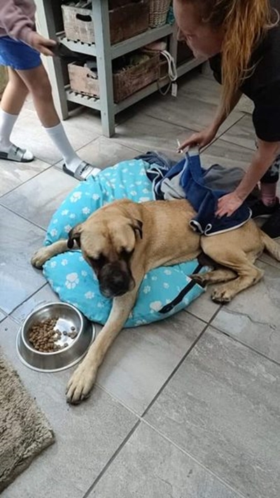 Jackson is home