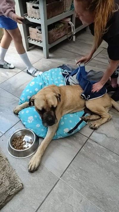 Jackson is home