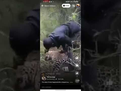 Man who slapped dead leopard in KNP barred from the park