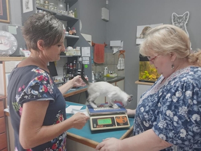 Katte se welsyn is Sonja Stander se lewe 
