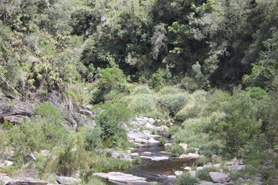 Importance of critical river systems as biodiversity migration corridors