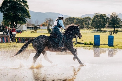 Top-class eventing at George Riding Club this weekend