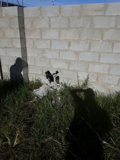 Life Community Services vandalised again