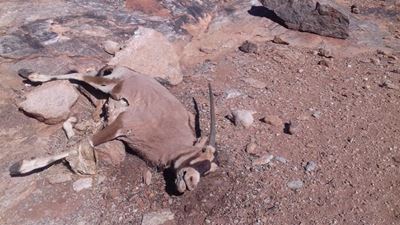 Help drought-stricken in Prince Albert