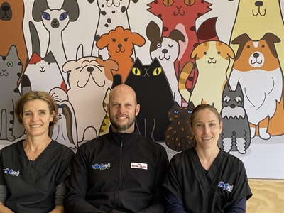 Experienced three-vet team at Vitalvet Animal Hospital