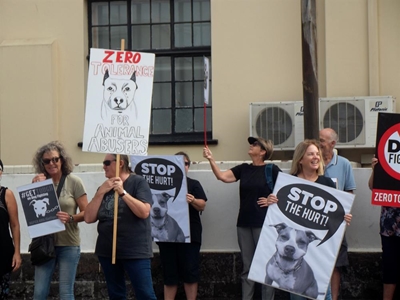 Protesters amass at court for dog-fighting case
