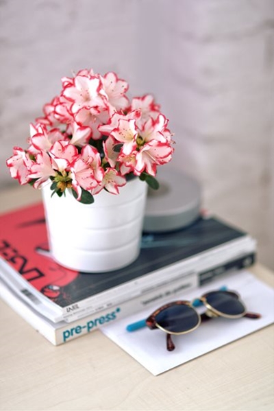 5 Creative ways to bring nature indoors