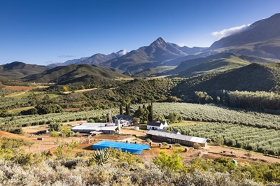 Klein Karoo olive estate on international winning streak