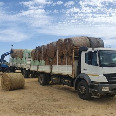 Voer uit Outeniqualand vir droogtegeteisterde gebiede