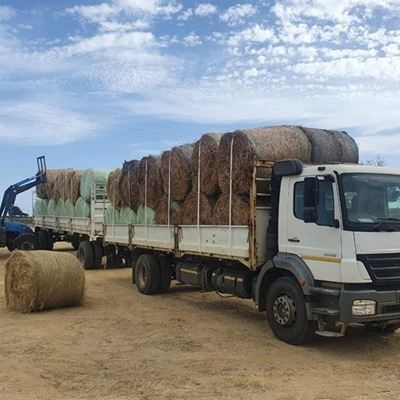 Voer uit Outeniqualand vir droogtegeteisterde gebiede