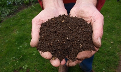 Home composting: Why you should do it 