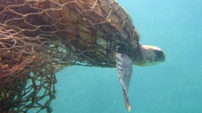 Marine biologist to speak on ghost fishing
