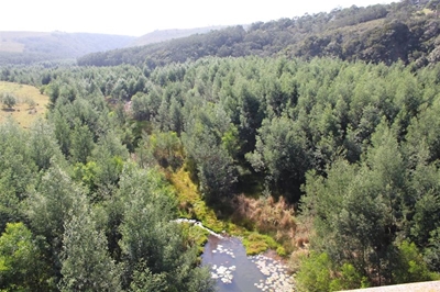 Langkloof’s Krom River in serious ecological danger