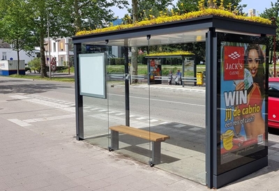 Dutch city transforms bus stops into bee stops