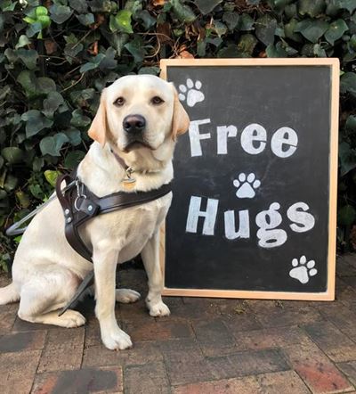 Free Hugs at the Knysna Oyster Festival